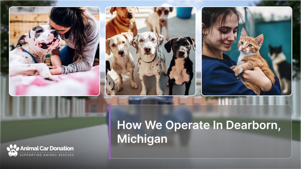 How We Operate In Dearborn, Michigan