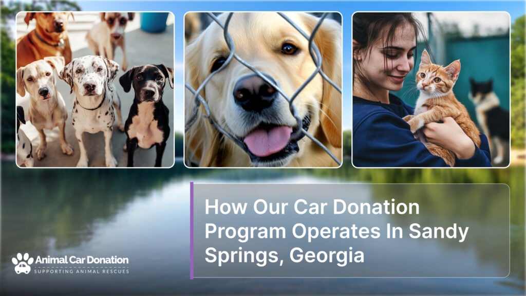 How Our Car Donation Program Operates In Sandy Springs, Georgia