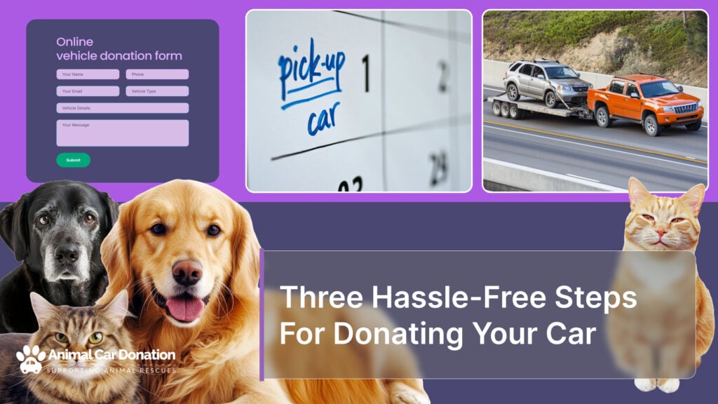 Three Hassle-Free Steps For Donating Your Car