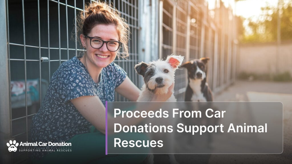 Proceeds From Car Donations Support Animal Rescues