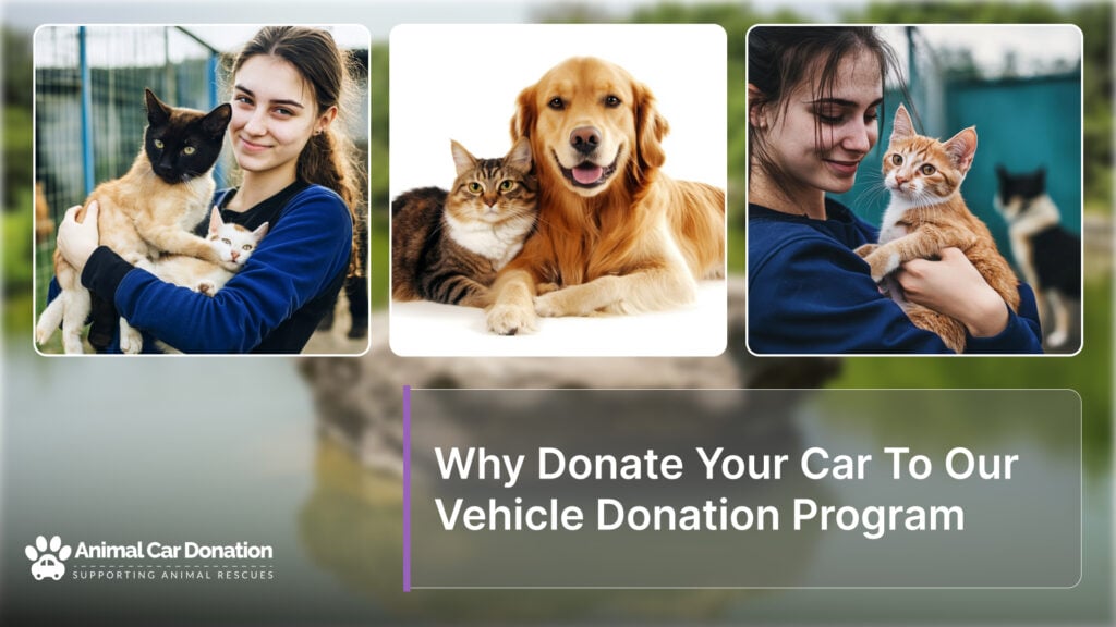 Why Donate Your Car To Our Vehicle Donation Program