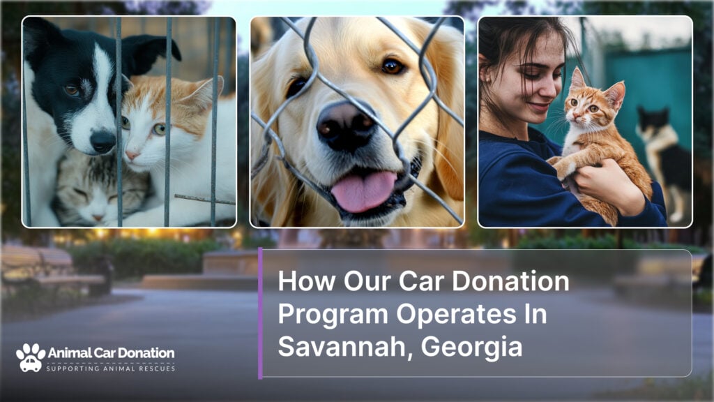 How Our Car Donation Program Operates In Savannah, Georgia