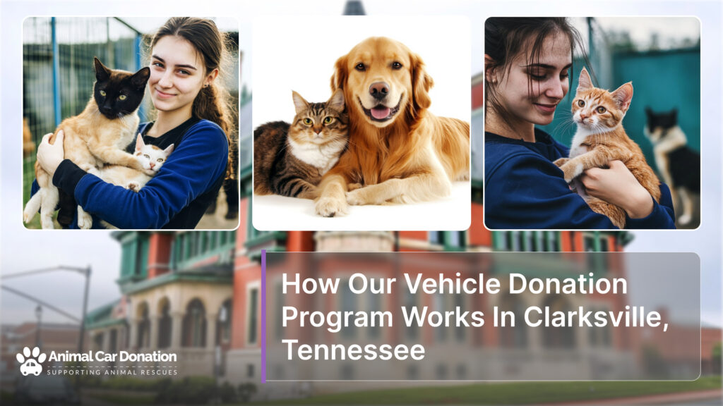 How Our Vehicle Donation Program Works In Clarksville, Tennessee