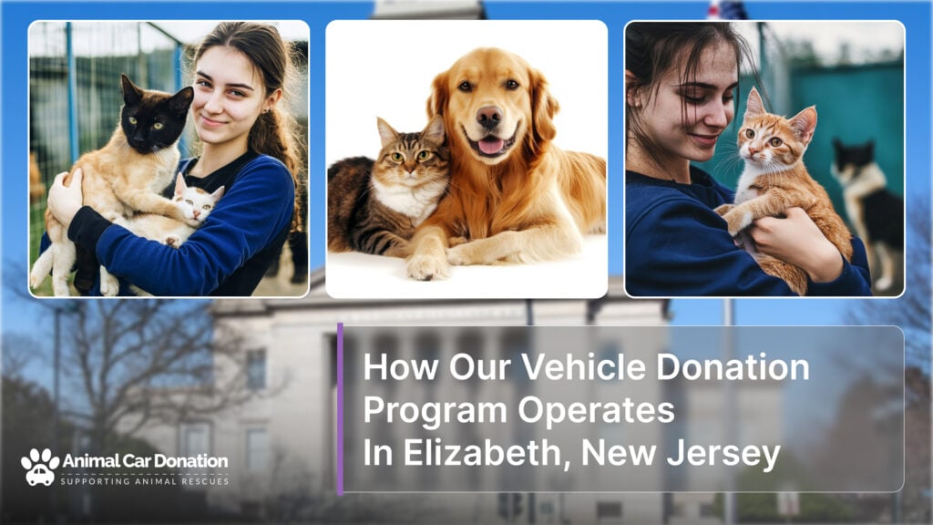 How Our Vehicle Donation Program Operates In Elizabeth, New Jersey