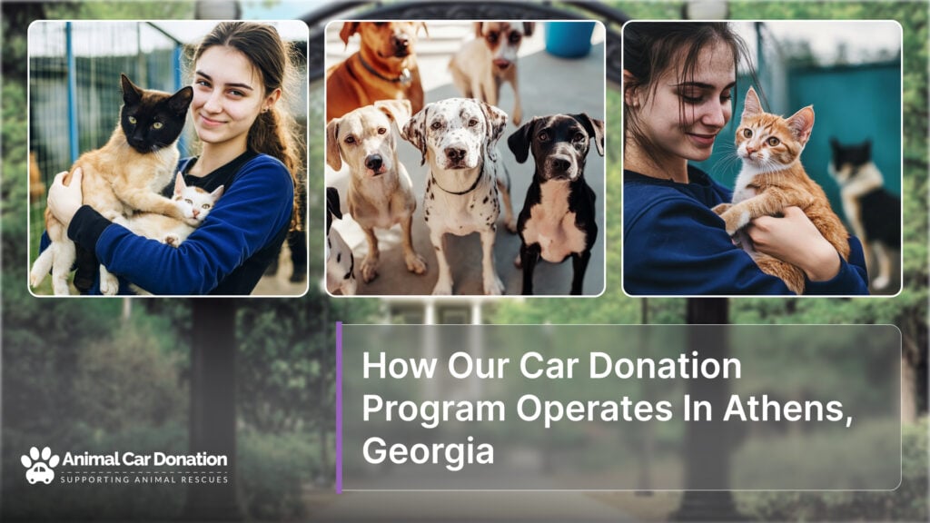 How Our Car Donation Program Operates In Athens, Georgia