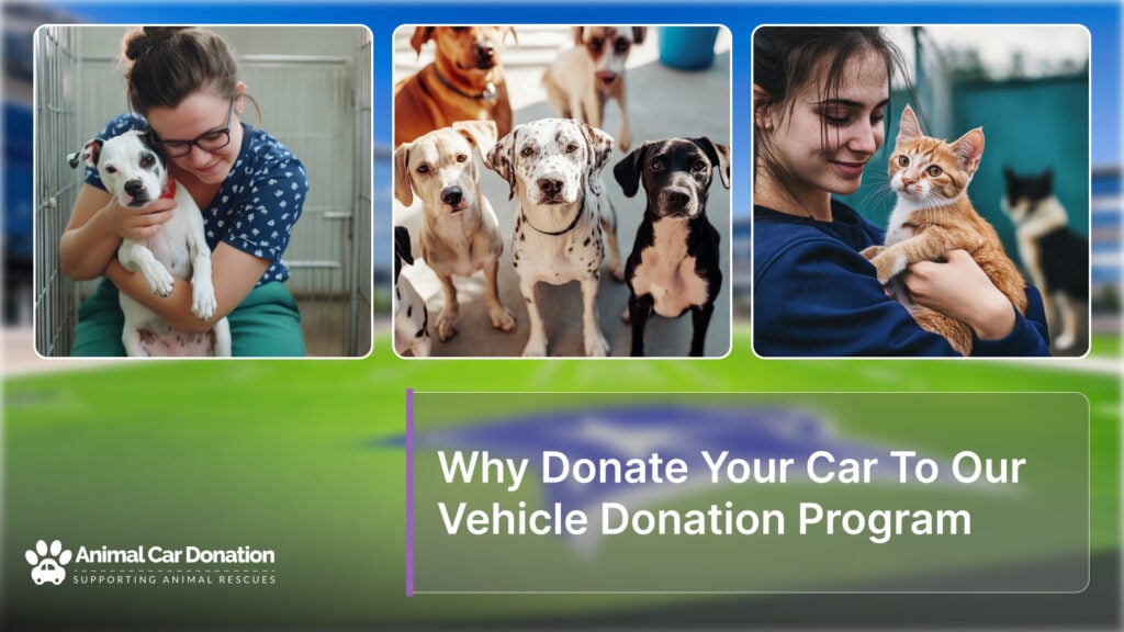 Why Donate Your Car To Our Vehicle Donation Program