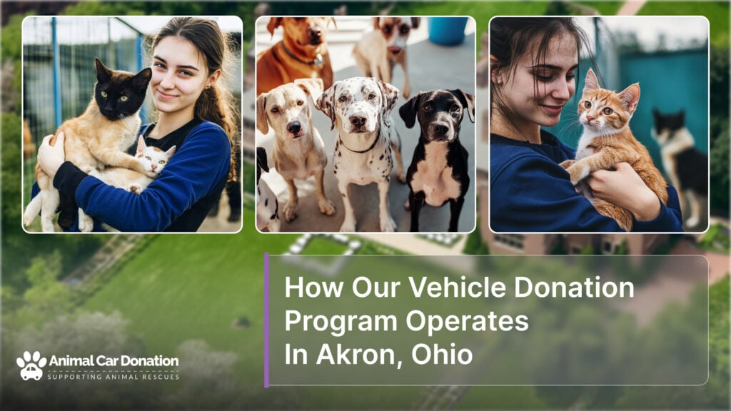 How Our Vehicle Donation Program Operates In Akron, Ohio