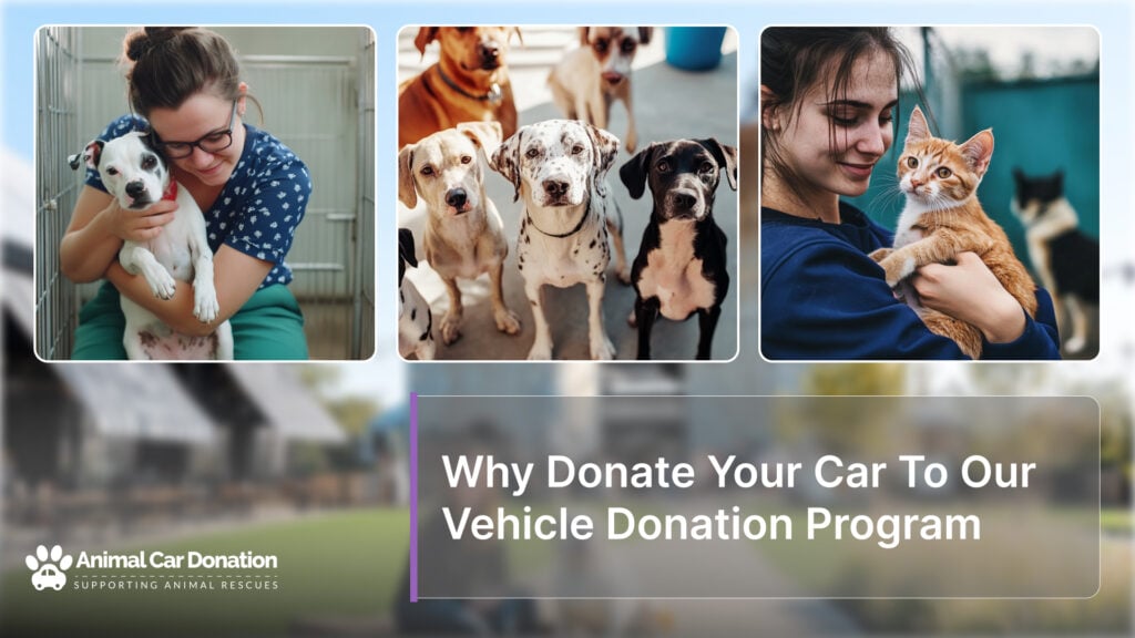 Why Donate Your Car To Our Vehicle Donation Program