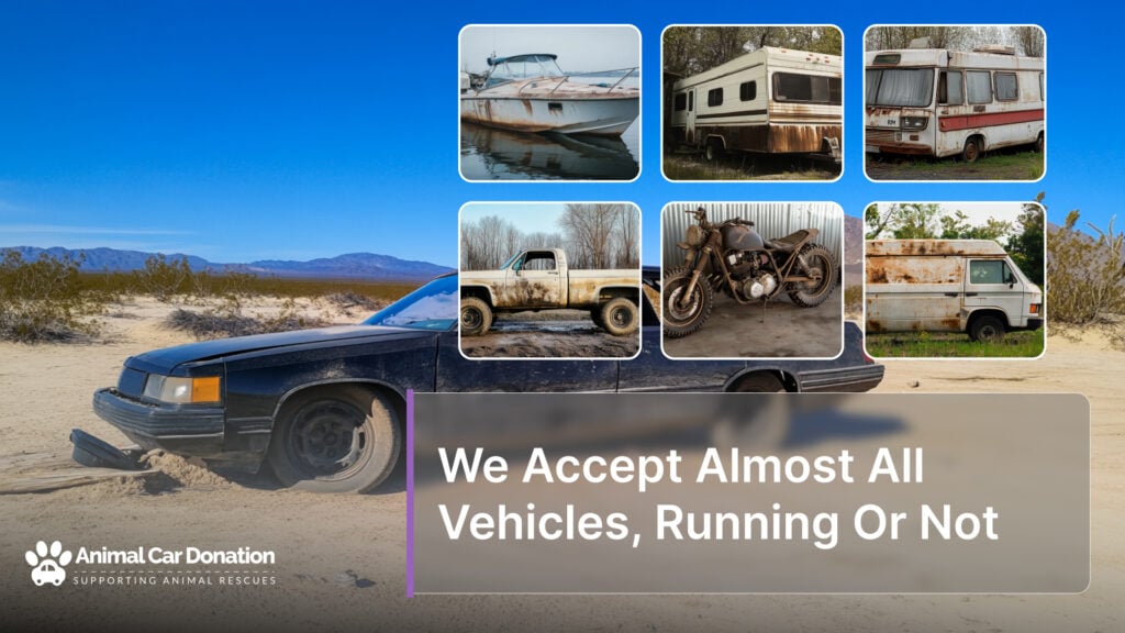 We Accept Almost All Vehicles, Running Or Not