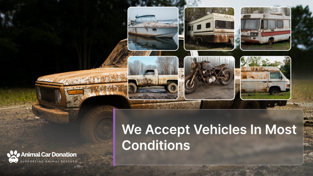 We Accept Vehicles In Most Conditions