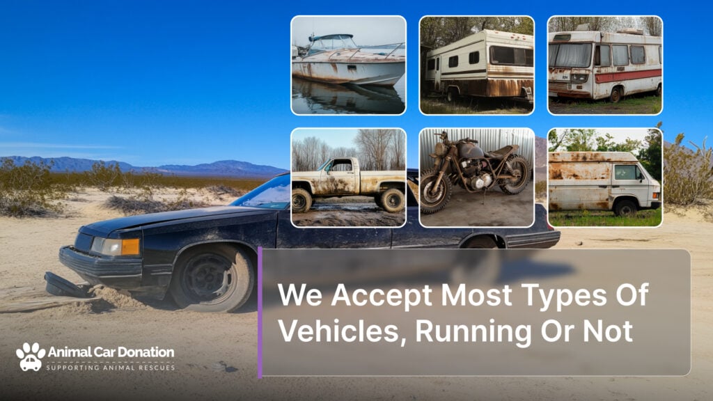 We Accept Most Types Of Vehicles, Running Or Not