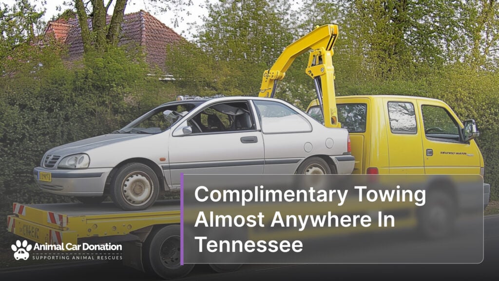 Complimentary Towing Almost Anywhere In Tennessee