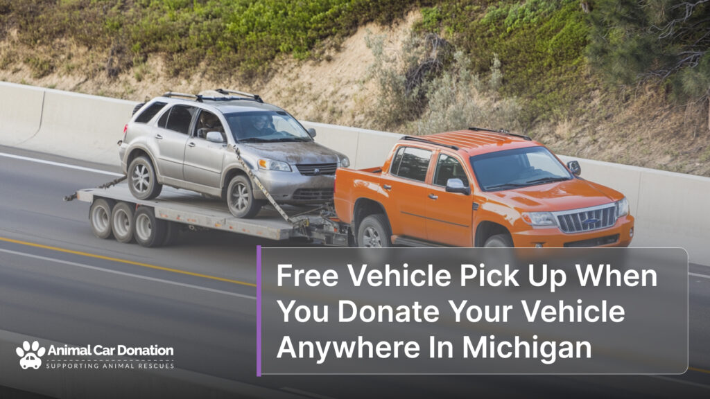 Free Vehicle Pick Up When You Donate Your Vehicle Anywhere In Michigan