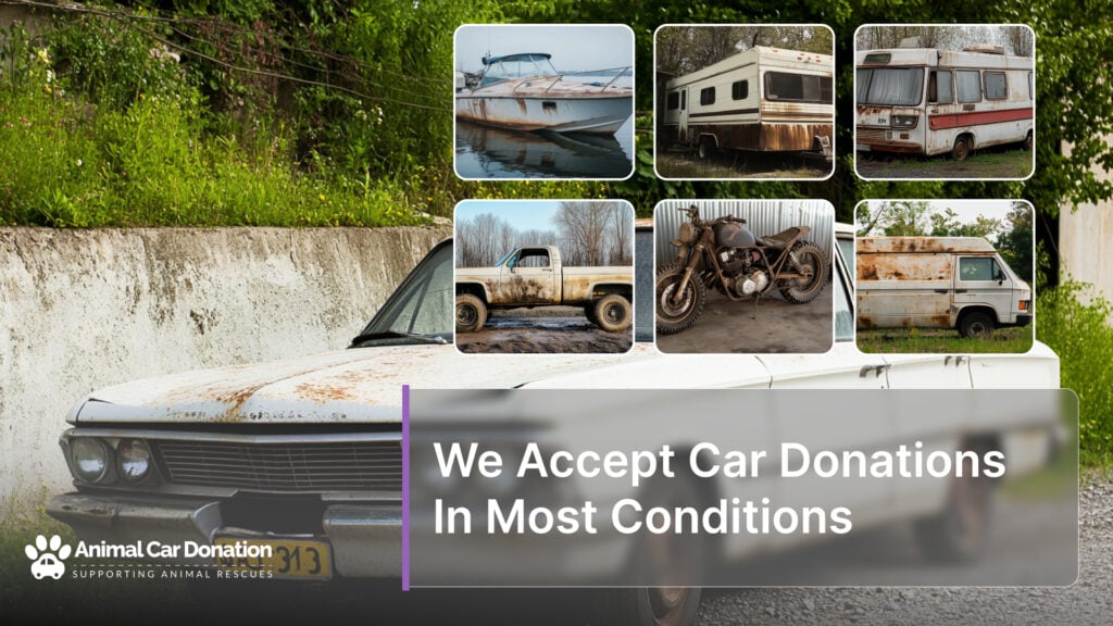 We Accept Car Donations In Most Conditions