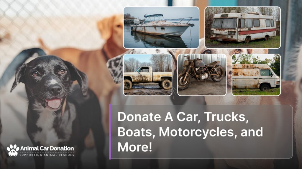 Donate A Car, Trucks, Boats, Motorcycles, and More!