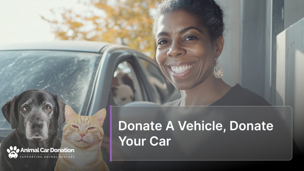 Donate A Vehicle, Donate Your Car