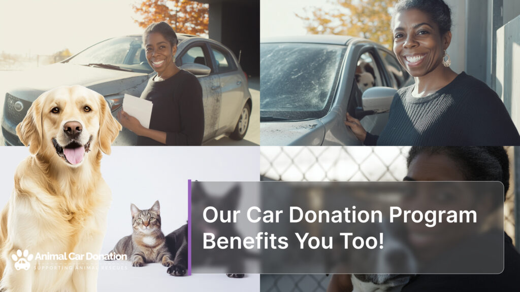 Our Car Donation Program Benefits You Too!