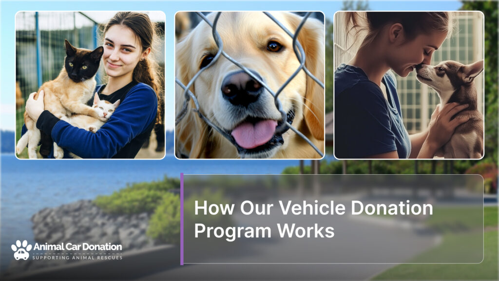 How Our Vehicle Donation Program Works