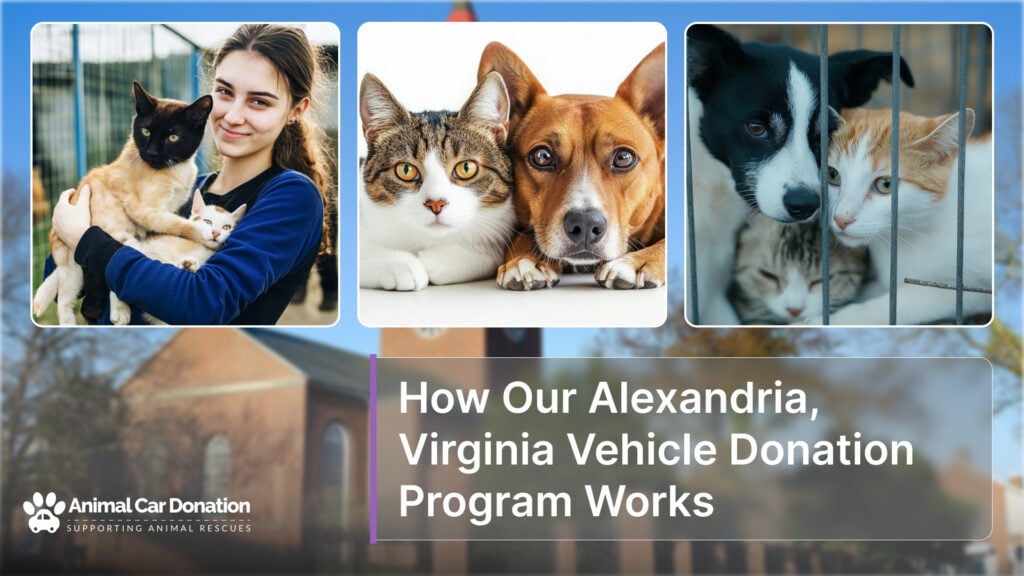 How Our Alexandria, Virginia Vehicle Donation Program Works