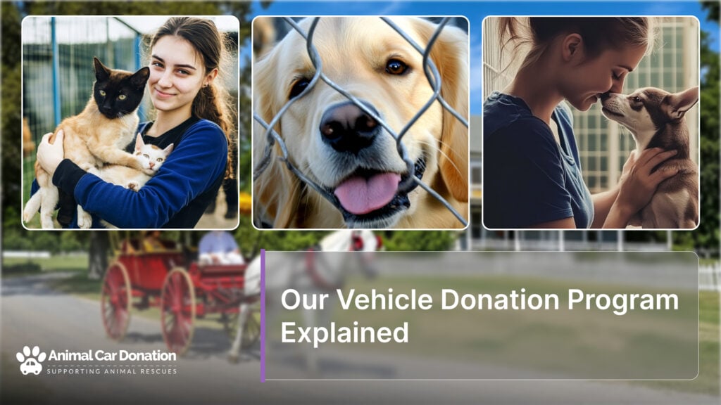 Our Vehicle Donation Program Explained