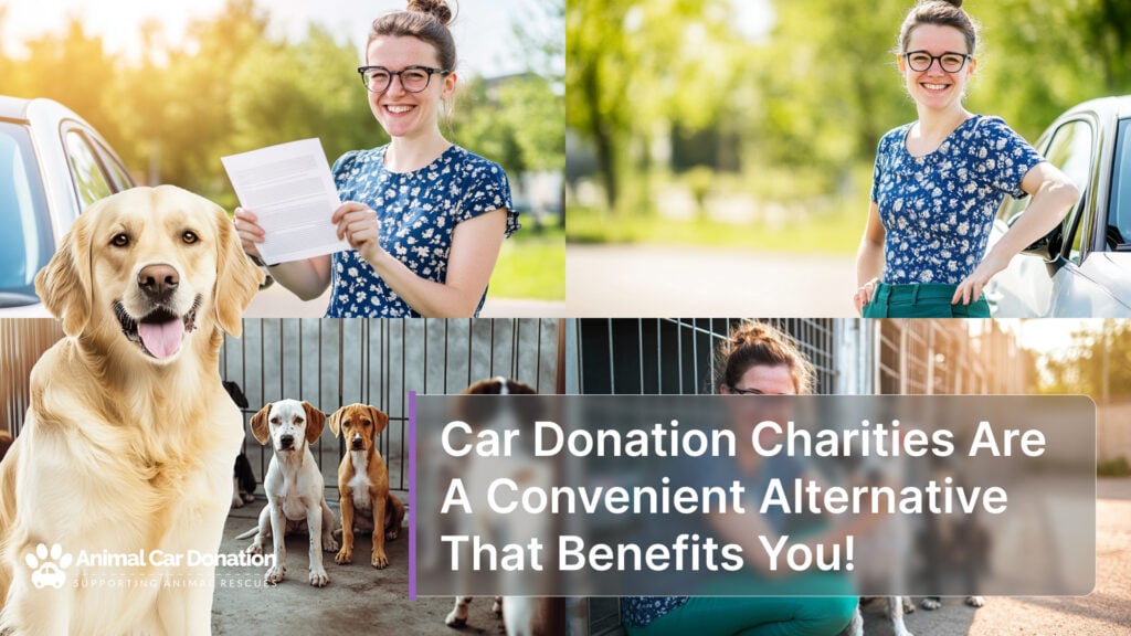 Car Donation Charities Are A Convenient Alternative That Benefits You!