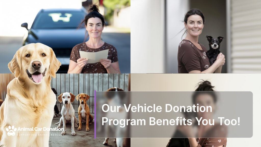 Our Vehicle Donation Program Benefits You Too!