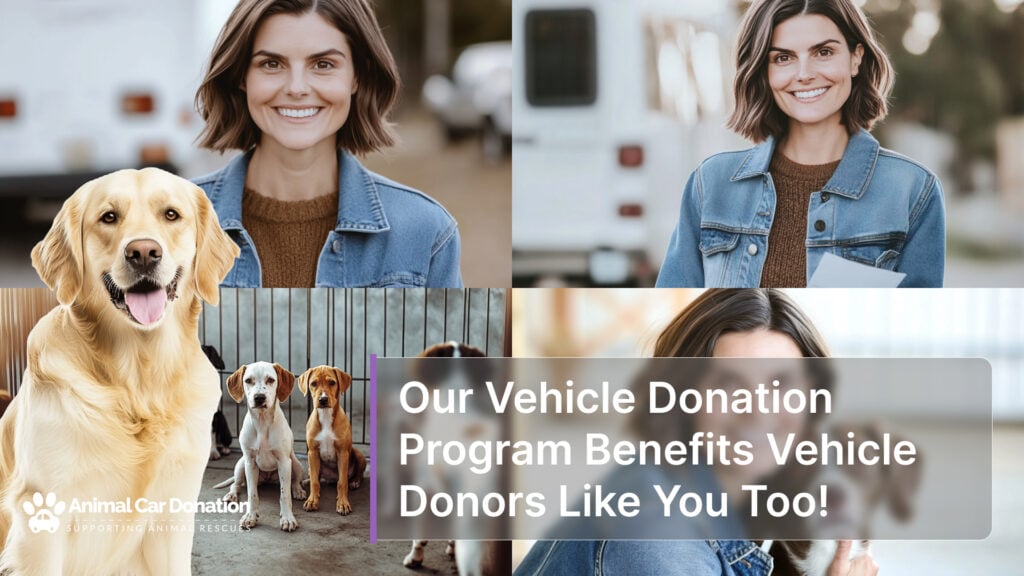 Our Vehicle Donation Program Benefits Vehicle Donors Like You Too!