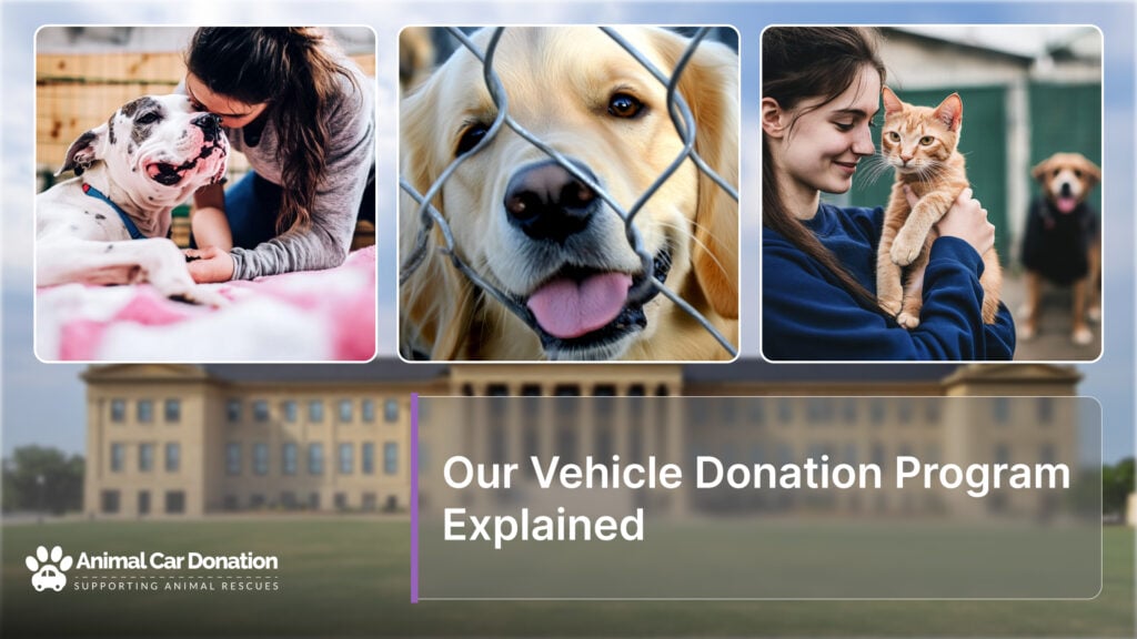 Our Vehicle Donation Program Explained