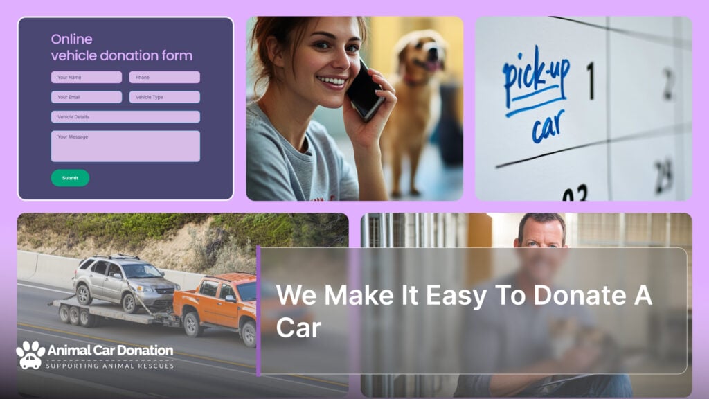 We Make It Easy To Donate A Car