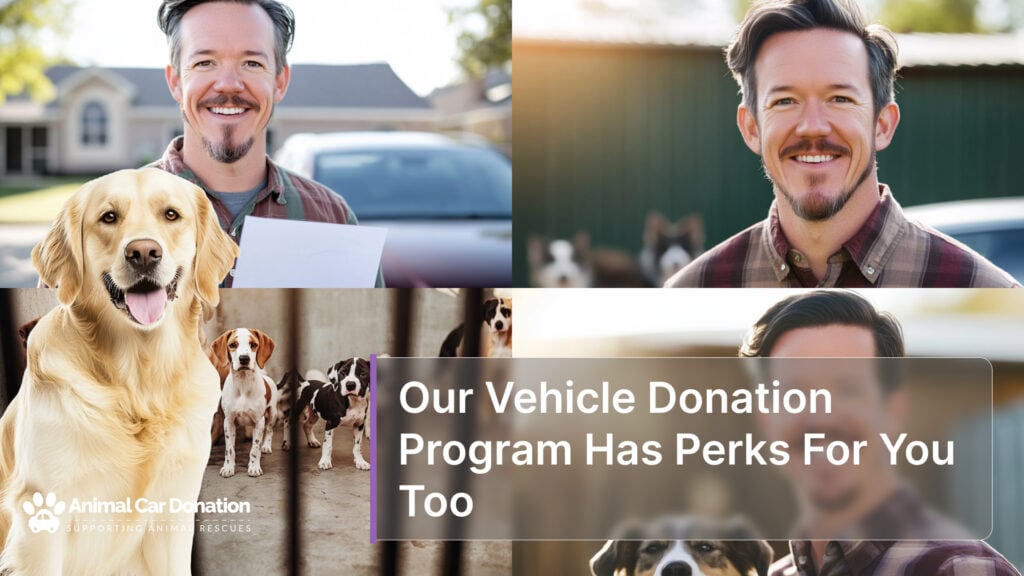 Our Vehicle Donation Program Has Perks For You Too