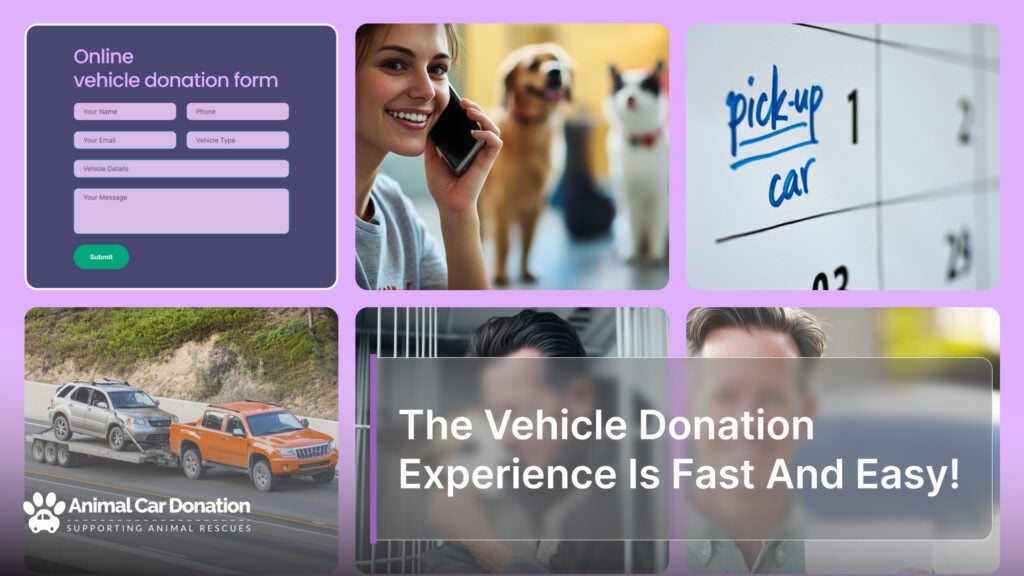 The Vehicle Donation Experience Is Fast And Easy!