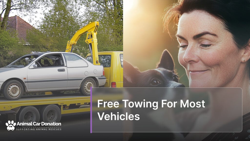 Free Towing For Most Vehicles