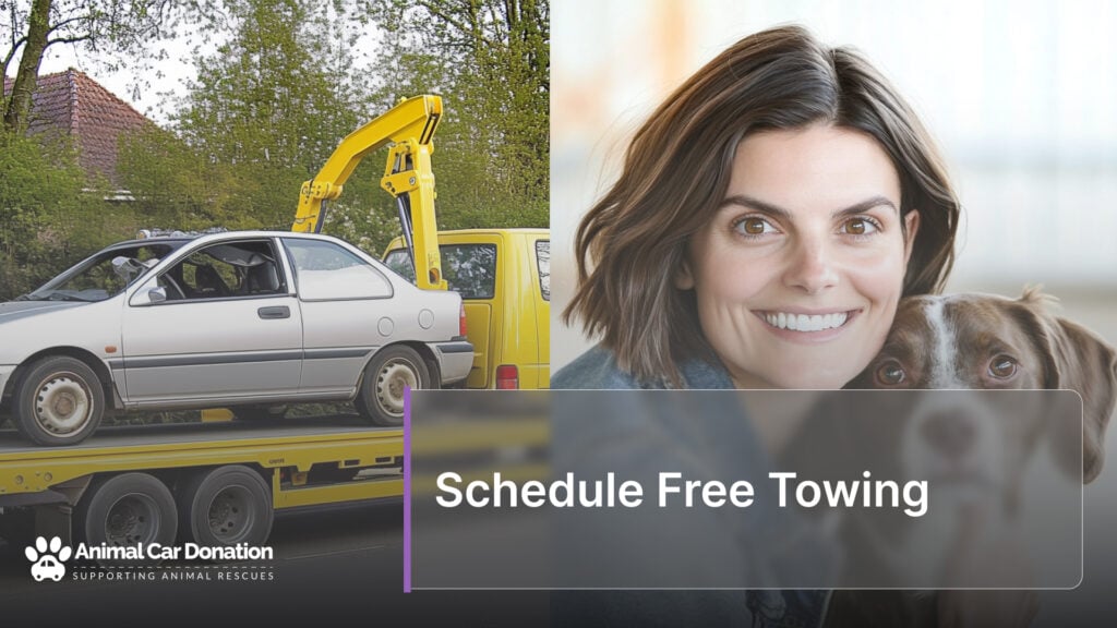 Schedule Free Towing