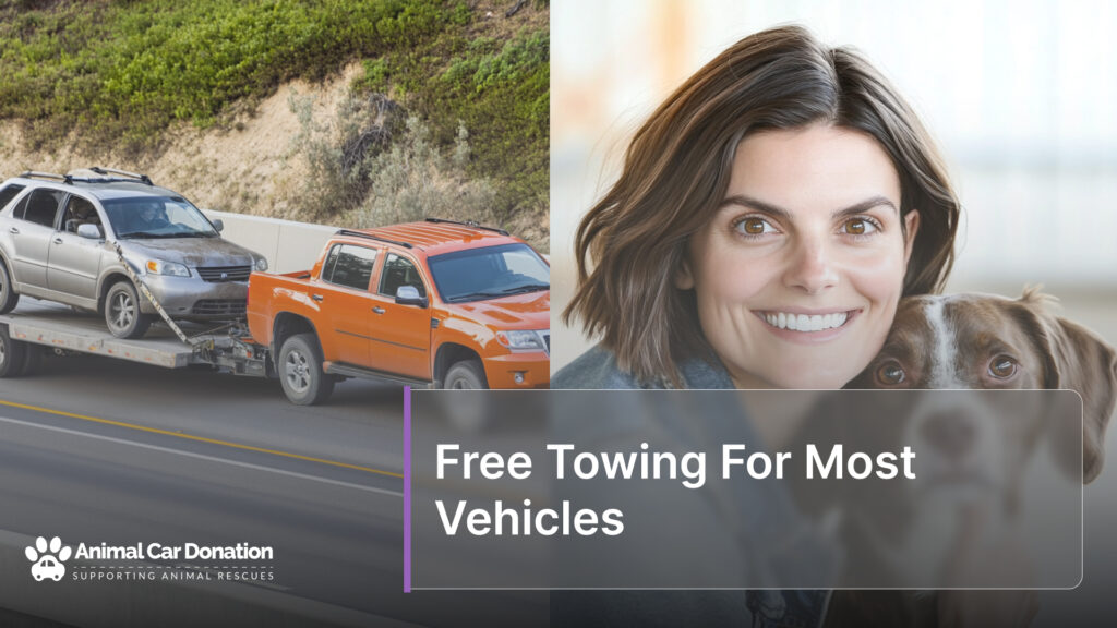 Free Towing For Most Vehicles