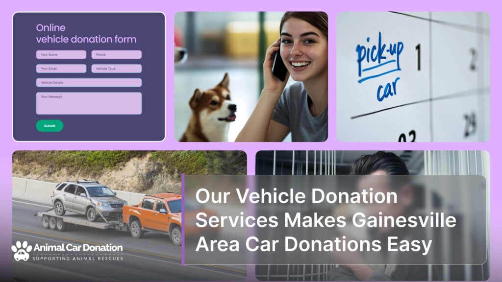 Our Vehicle Donation Services Makes Gainesville Area Car Donations Easy