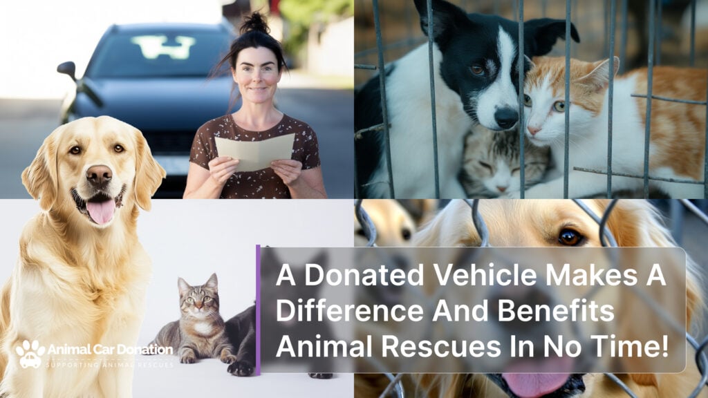 A Donated Vehicle Makes A Difference And Benefits Animal Rescues In No Time!