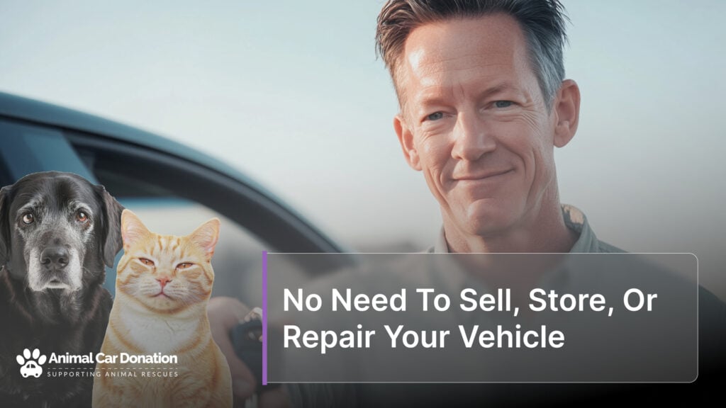 No Need To Sell, Store, Or Repair Your Vehicle