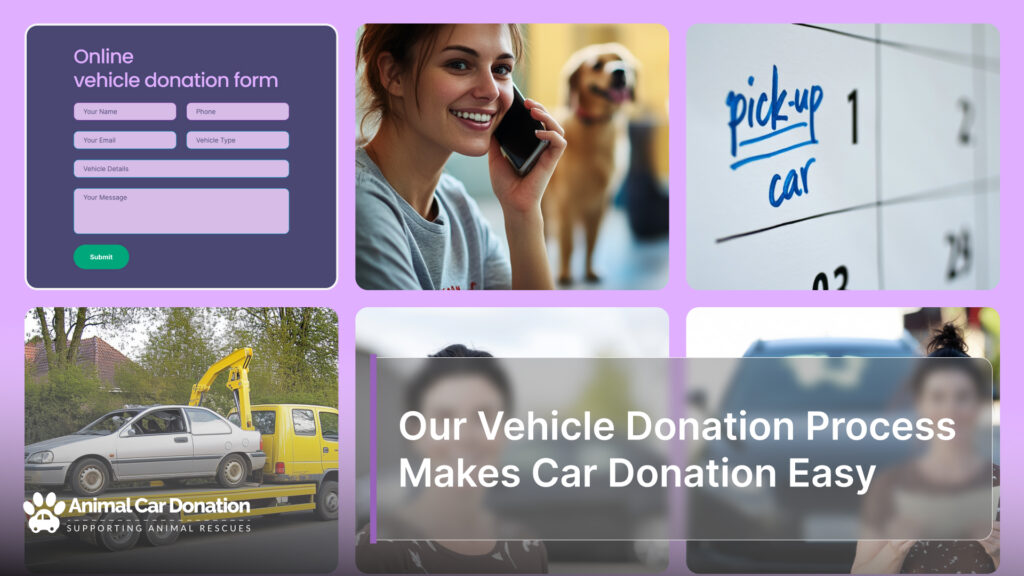 Our Vehicle Donation Process Makes Car Donation Easy