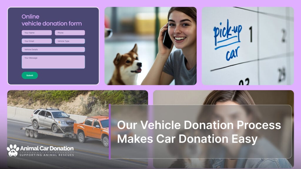 Our Vehicle Donation Process Makes Car Donation Easy