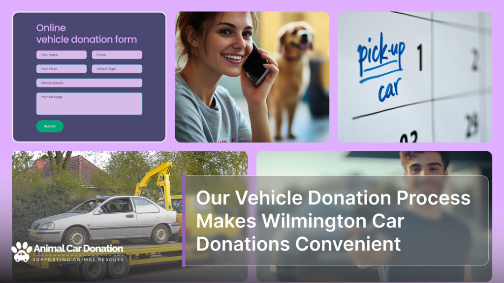 Our Vehicle Donation Process Makes Wilmington Car Donations Convenient