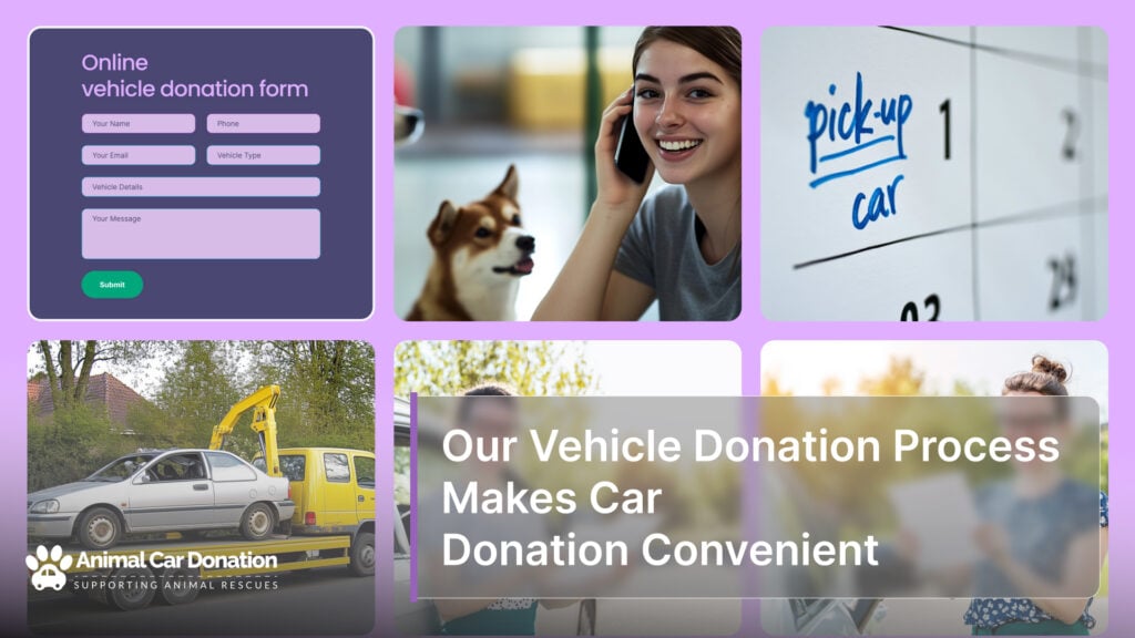 Our Vehicle Donation Process Makes Car Donation Convenient