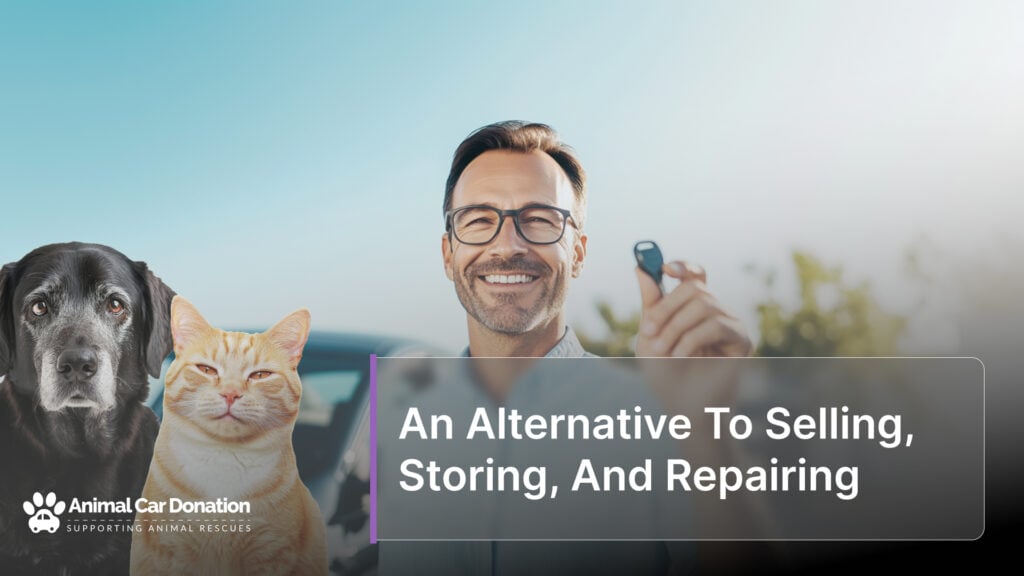 An Alternative To Selling, Storing, And Repairing