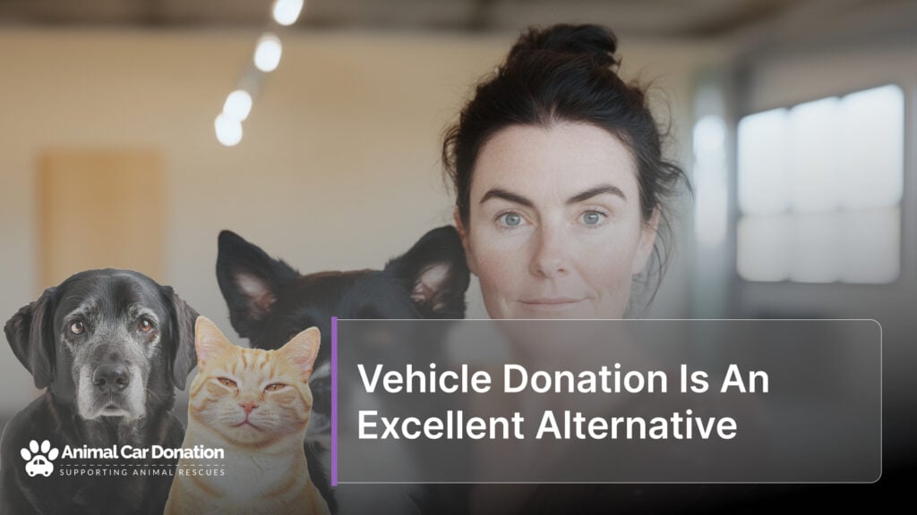 Vehicle Donation Is An Excellent Alternative