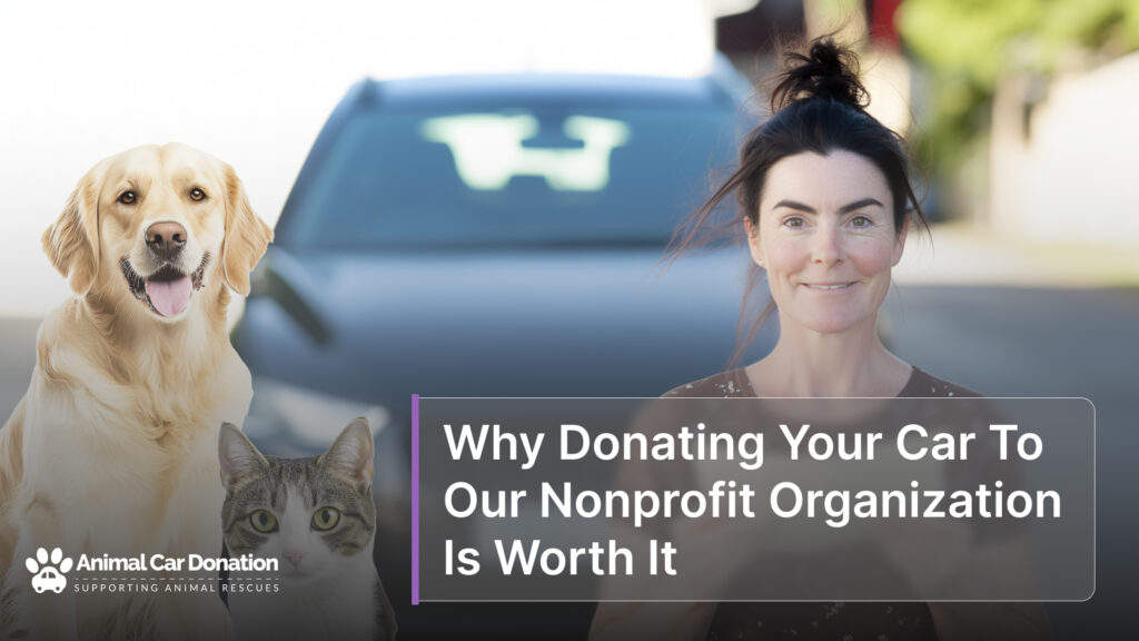 Why Donating Your Car To Our Nonprofit Organization Is Worth It