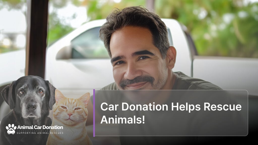 Car Donation Helps Rescue Animals!