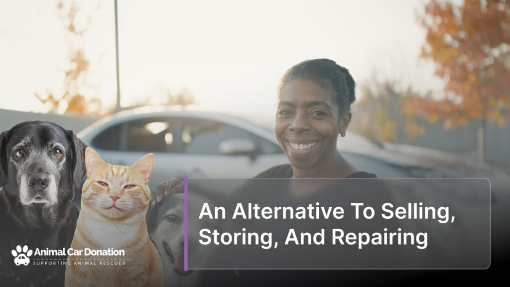 An Alternative To Selling, Storing, And Repairing