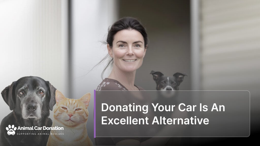 Donating Your Car Is An Excellent Alternative