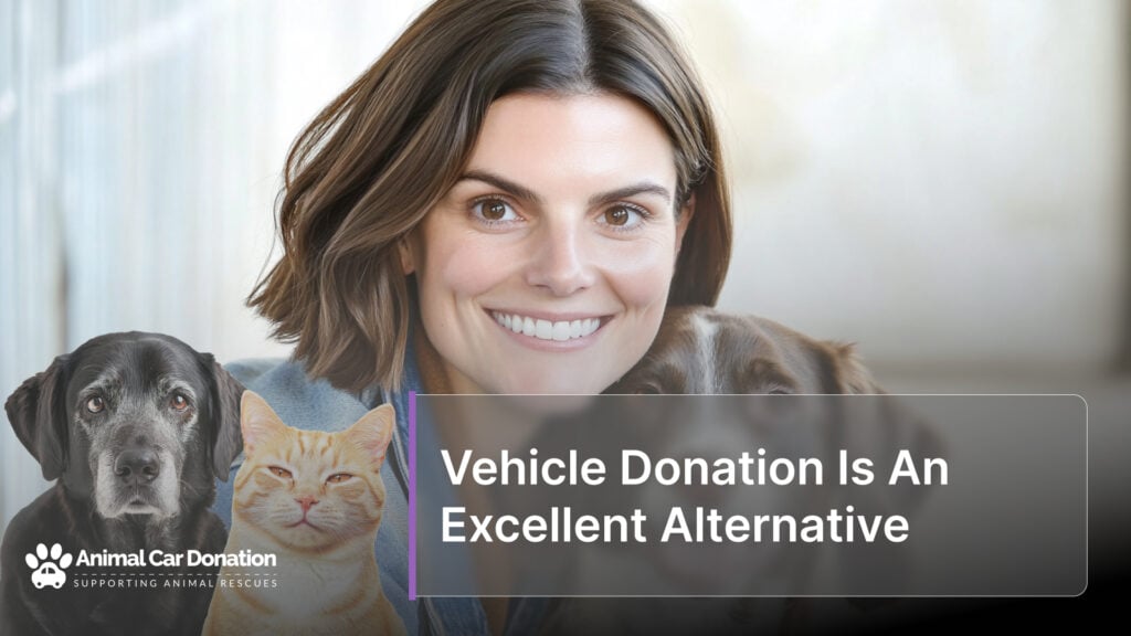 Vehicle Donation Is An Excellent Alternative