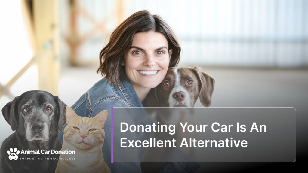 Donating Your Car Is An Excellent Alternative