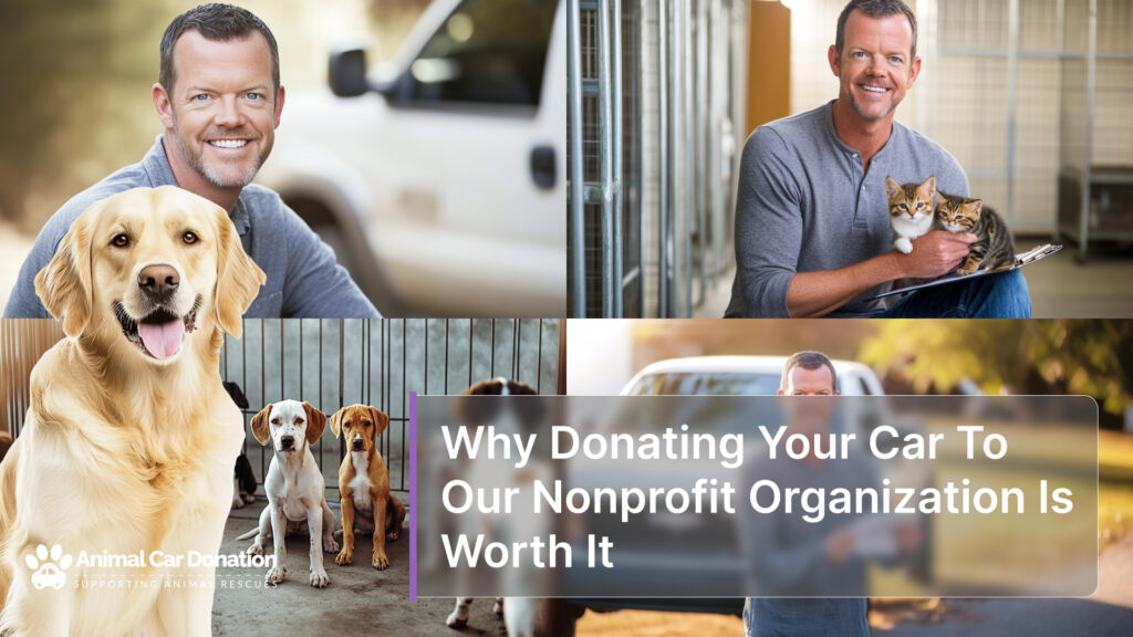 Why Donating Your Car To Our Nonprofit Organization Is Worth It